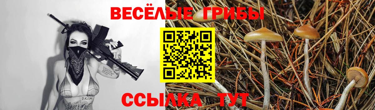 Кандалакша  Галлюциногенные грибы Psilocybine cubensis  Вход с VPN 